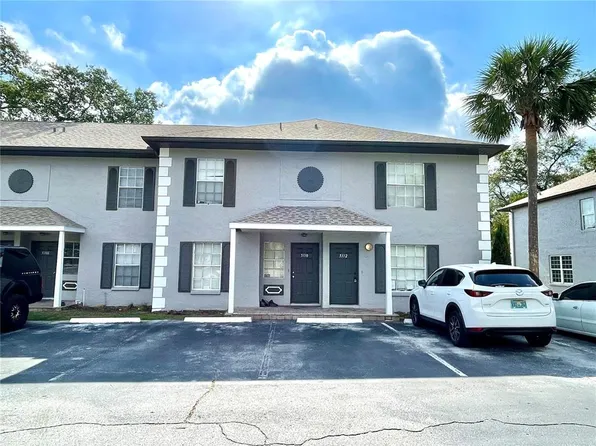 5110 Sunridge Palms Dr, Tampa, FL 33617