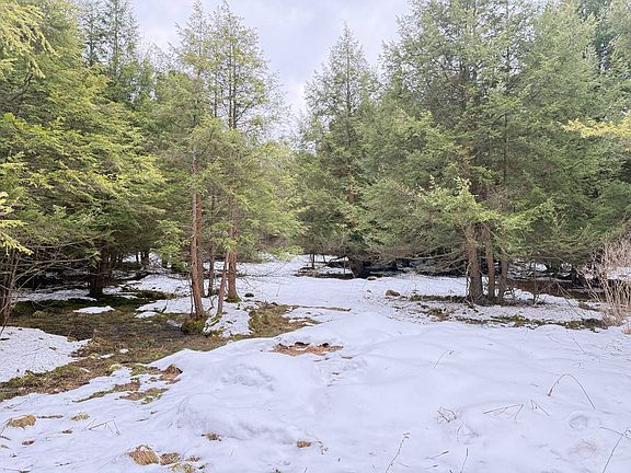 5th image of Oil Creek Rd