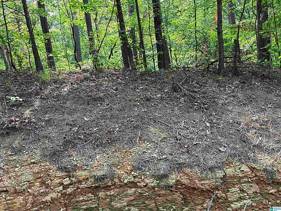 3rd image of LOT 23 Teddy Dr