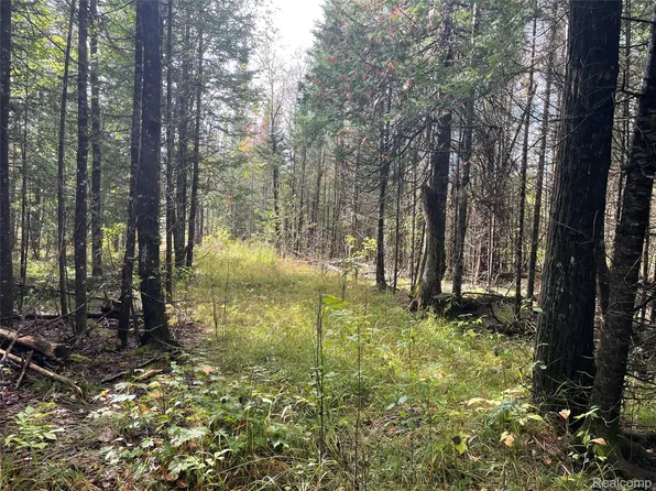 0 M 28, Newberry, MI 49868