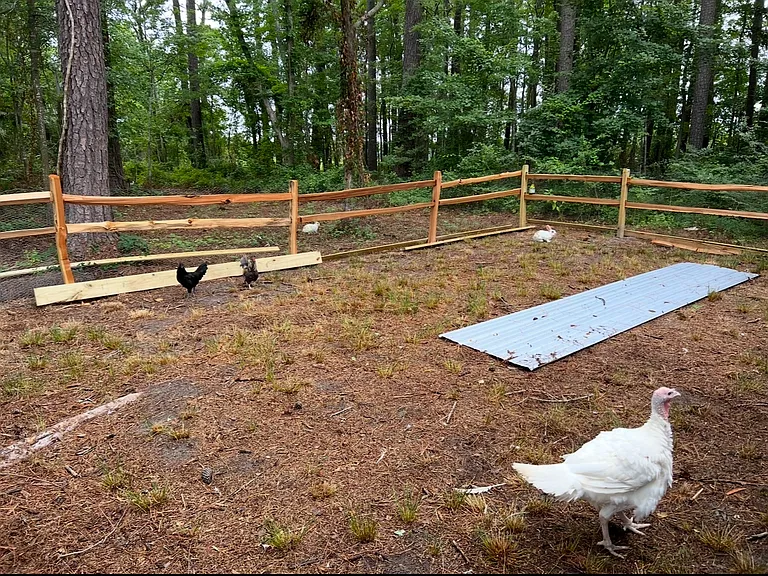 104 Horseshoe Rd — Photo 12