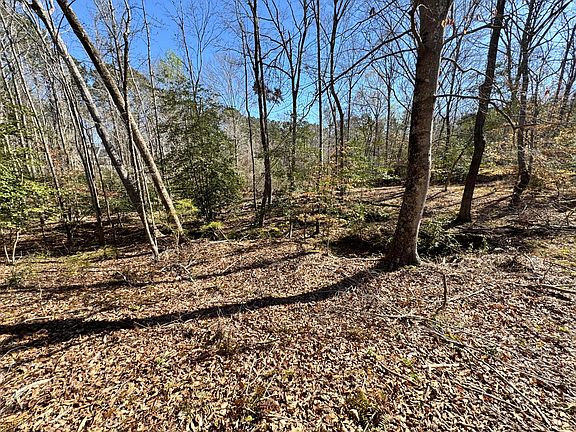 2nd image of 4788 Chamberlain S Ferry Road