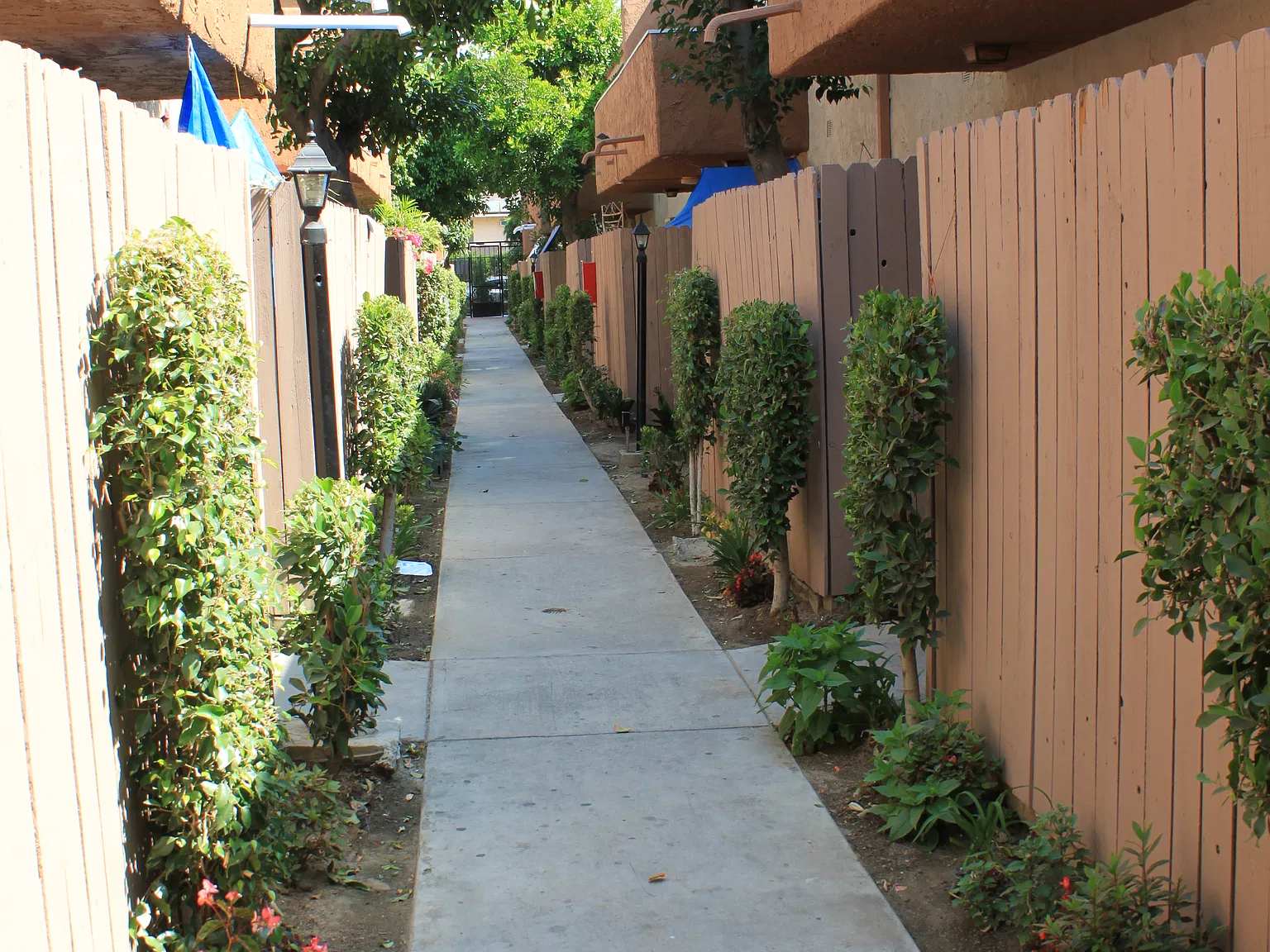 Oak Village — Photo 2