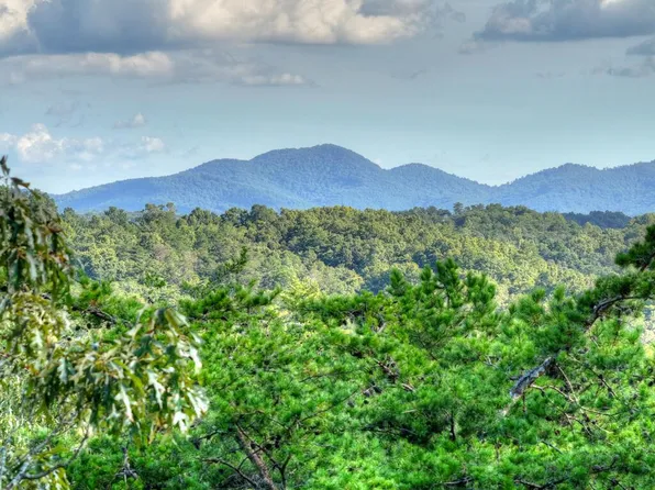 LOT 38 Ridgeline Ln, Mineral Bluff, GA 30559