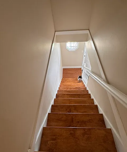 32 Bowles Ct #32 — Photo 21