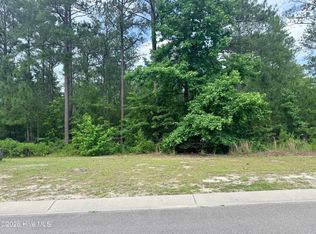 3781 Hallmark Rd NE LOT 234, Leland, NC 28451