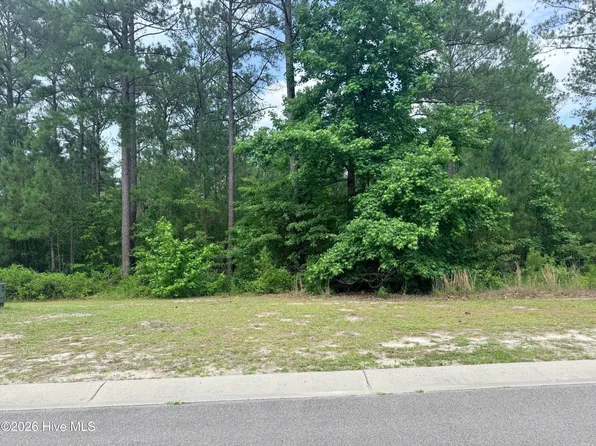3781 Hallmark Rd NE Lot 234, Leland, NC 28451