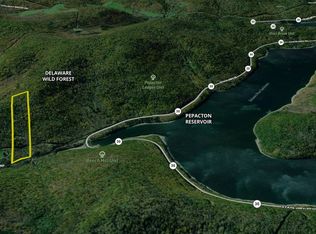 5565 Beech Hill Rd, Andes, NY 13731