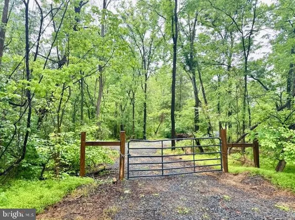 Slaughters Mill Rd, Mitchells, VA 22729