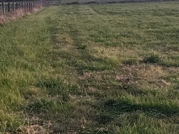 0 210th St, De Witt, IA 52742