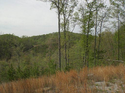 1st image of 0 Jones Ln