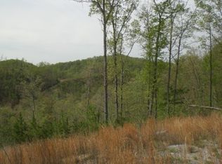0 Jones Ln, Mooresburg, TN 37811