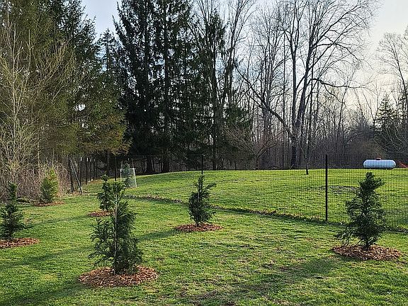 Front yard. View from road