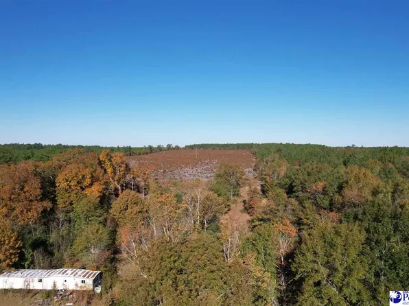 2812 New Market Rd, Hartsville, SC 29550