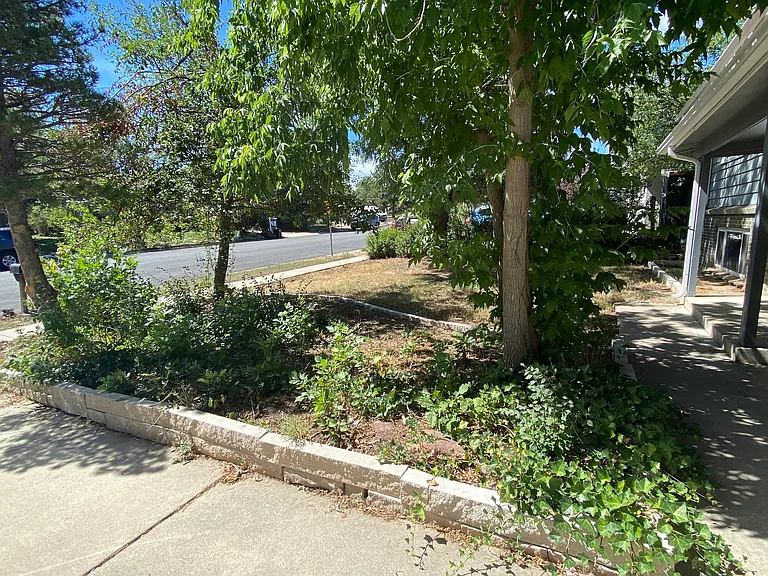 1475 Chambers Dr — Photo 4