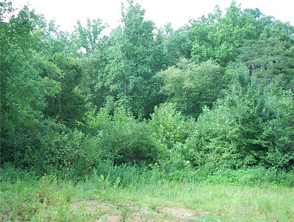 1st image of 8455 Spainhour Mill Ct