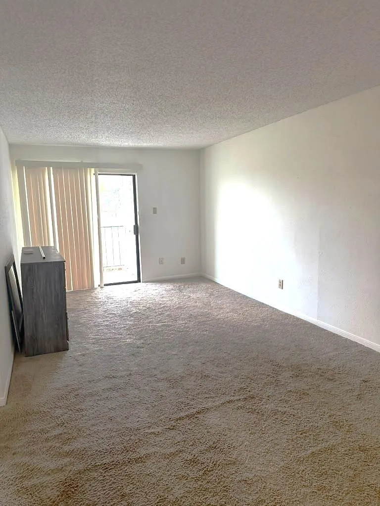 2 bed, 1.0 bath, 780 sqft, $1,300 — Photo 3