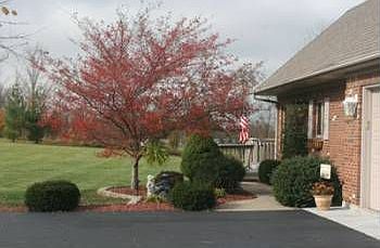 5th image of 3013 E Plantation Dr