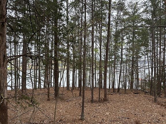 3rd image of Rabbit Run Rd