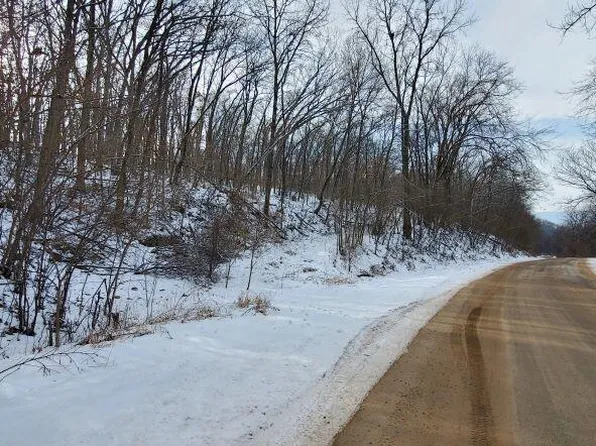0 LAWRENCE HILL ROAD, De Soto, WI 54624