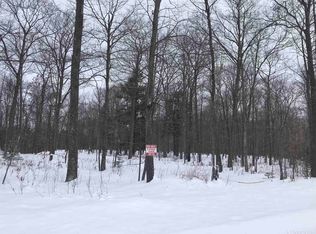 Camels Clearing Rd, Florence, WI 54121