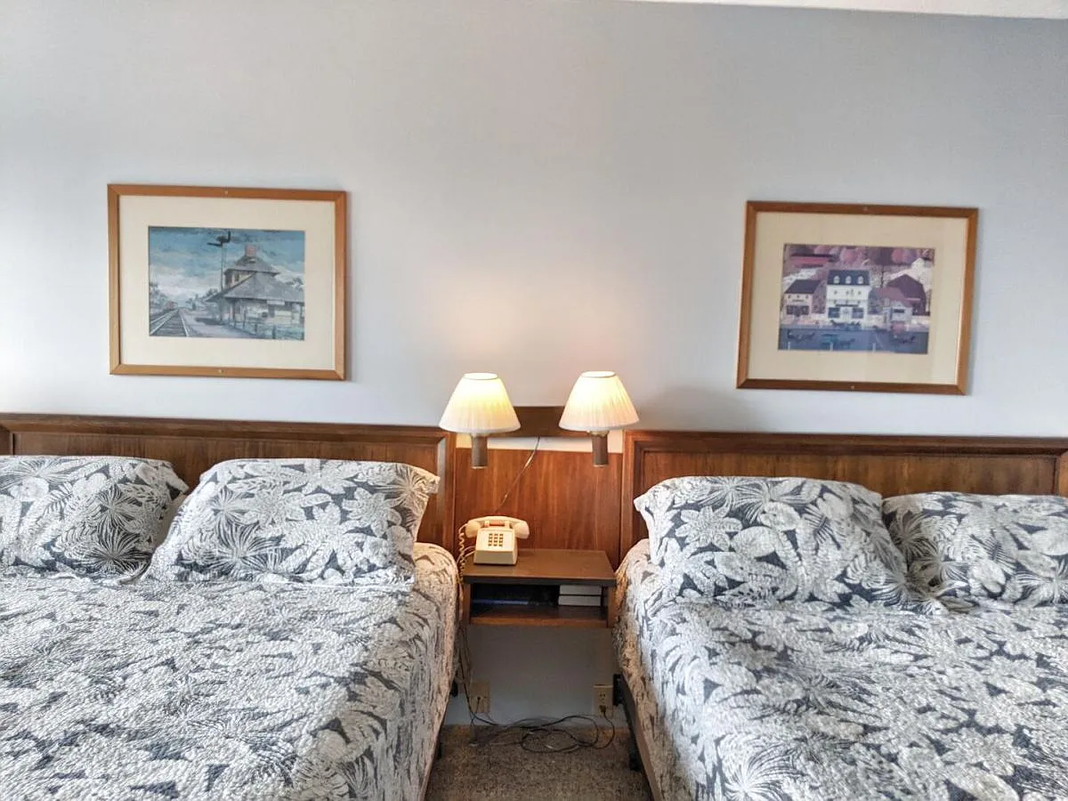Studio, 250 sqft, $1,100 — Photo 3