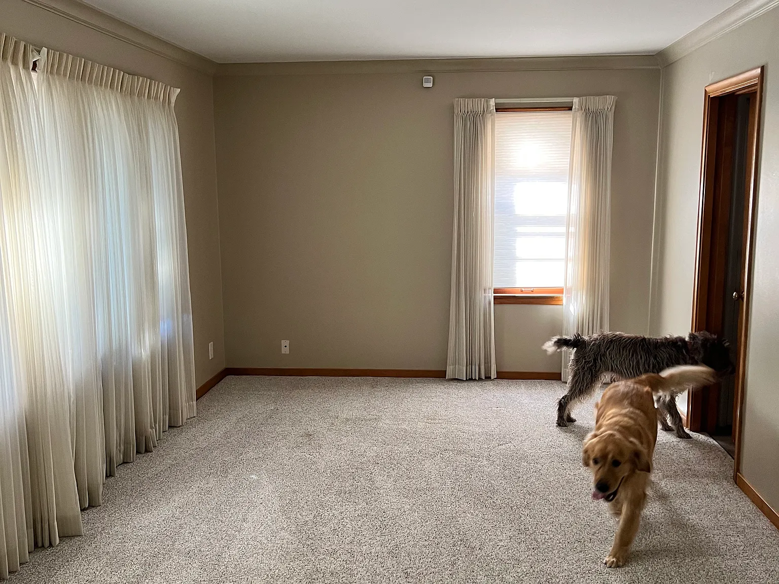 3 bed, 1310 sqft, $1,700 — Photo 2