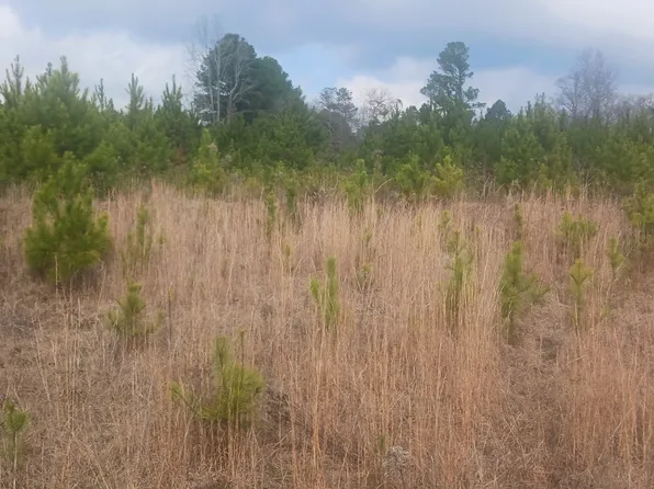 60 County Road 494, Verbena, AL 36091