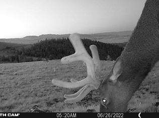 10840 Indian Creek Rd, Townsend, MT 59644
