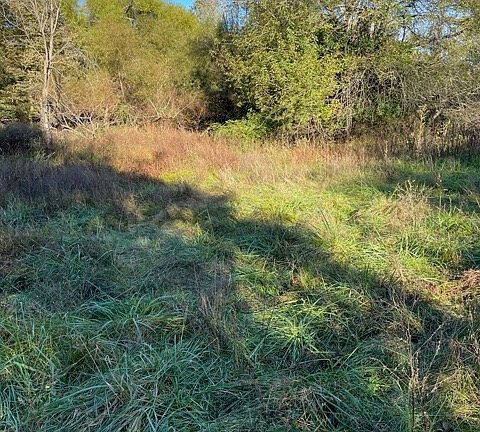 5th image of N Robinhood Ln