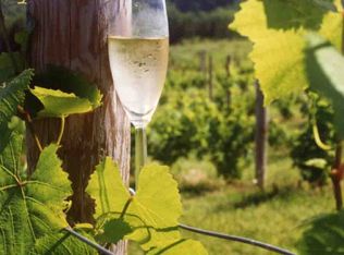 10702 E Hilltop Rd, Suttons Bay, MI 49682