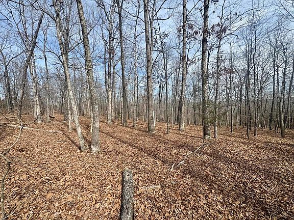 4th image of 0 Barnes Rd