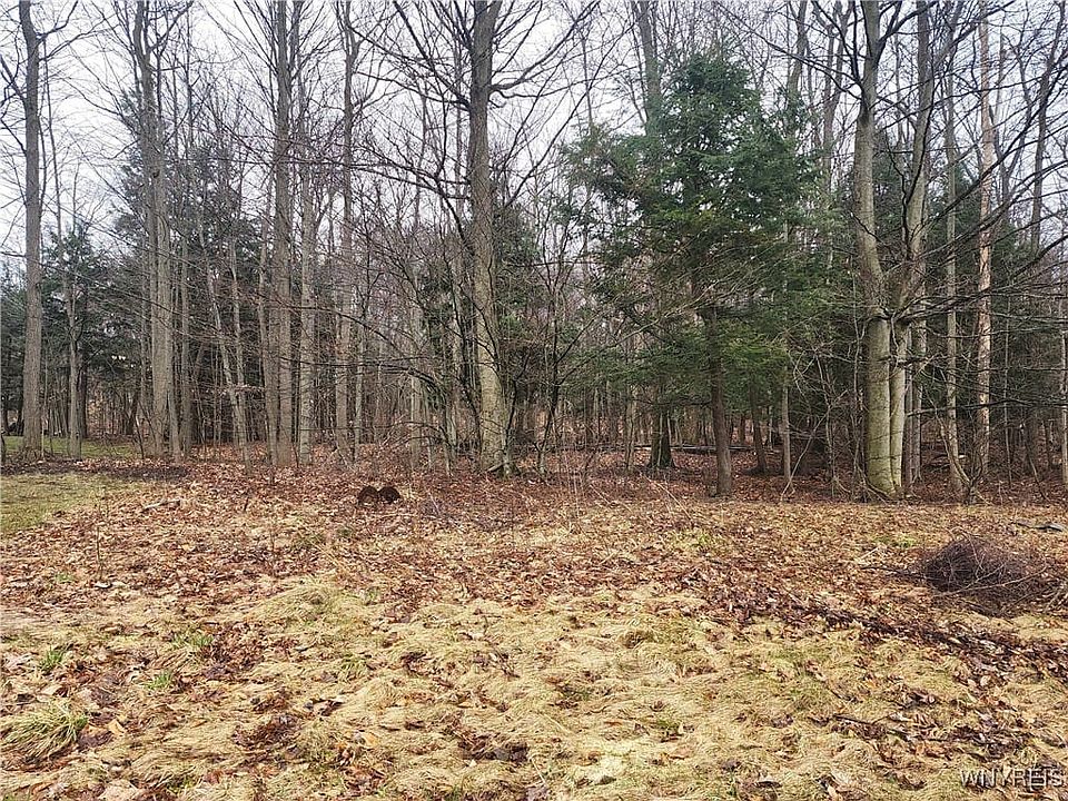 2nd image of 58 Wildwood Ln