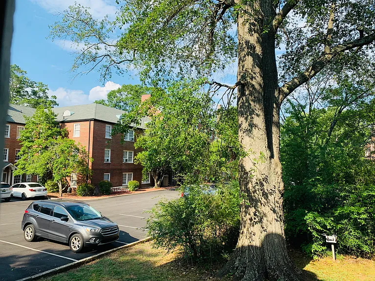 2851 Thornhill Rd #111A — Photo 41