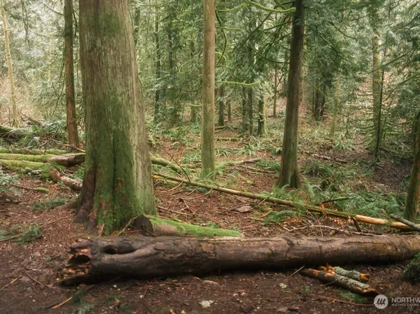 0 Lopez Street, Bellingham, WA 98229