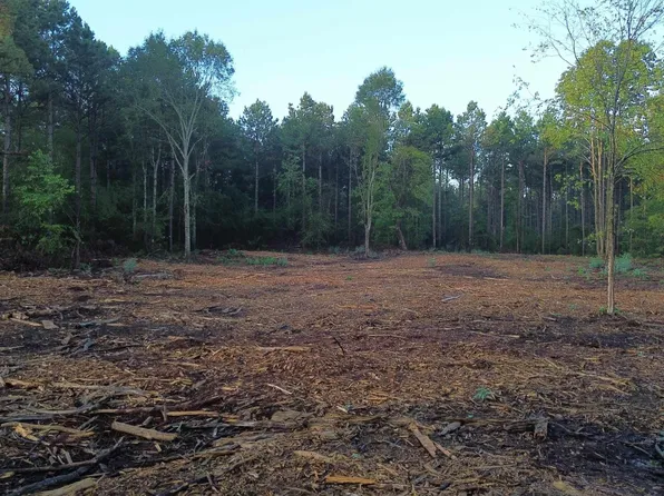 TRACT 2nd Hwy E #80, Waskom, TX 75692
