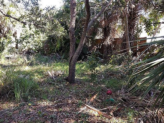 5th image of 380 Cowry Rd