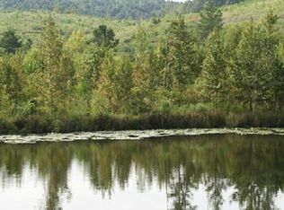 15 Dixie Springs Rd, Oakman, AL 35579