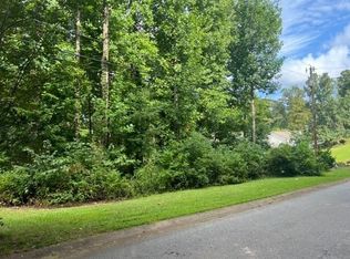 311 Scarlett Ln, Woodstock, GA 30188