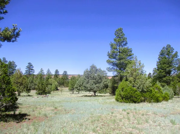 Cuervo Juniper, Ramah, NM 87321