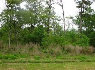 27407 Jupiter Landing Ct, Spring, TX 77386