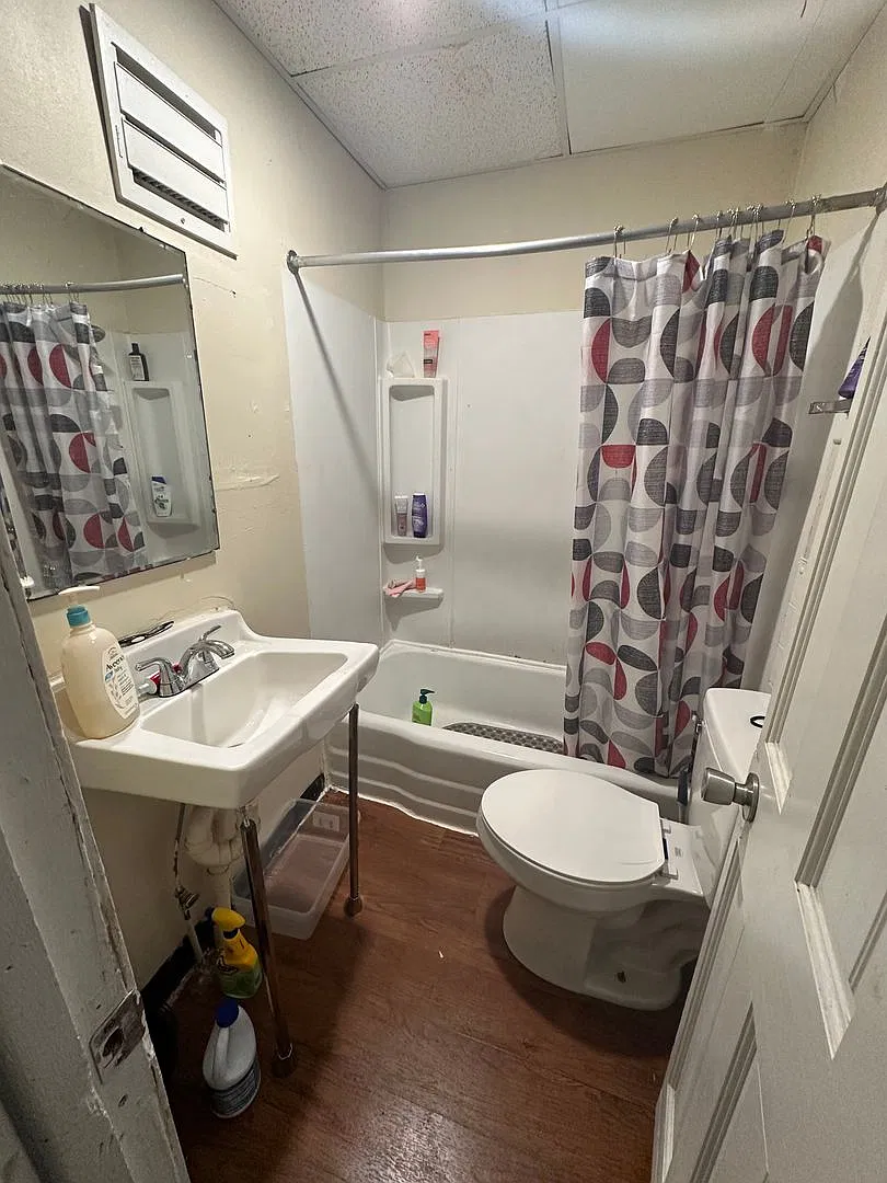441 Dallas Street — Photo 4