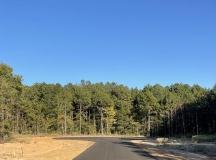 25 Stonebrook Ct, Diana, TX 75640