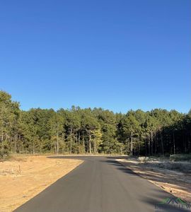 23 Stonebrook Ct, Diana, TX, 75640