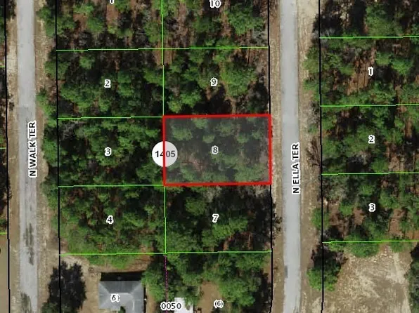 10950 N Ella Ter, Citrus Springs, FL 34433