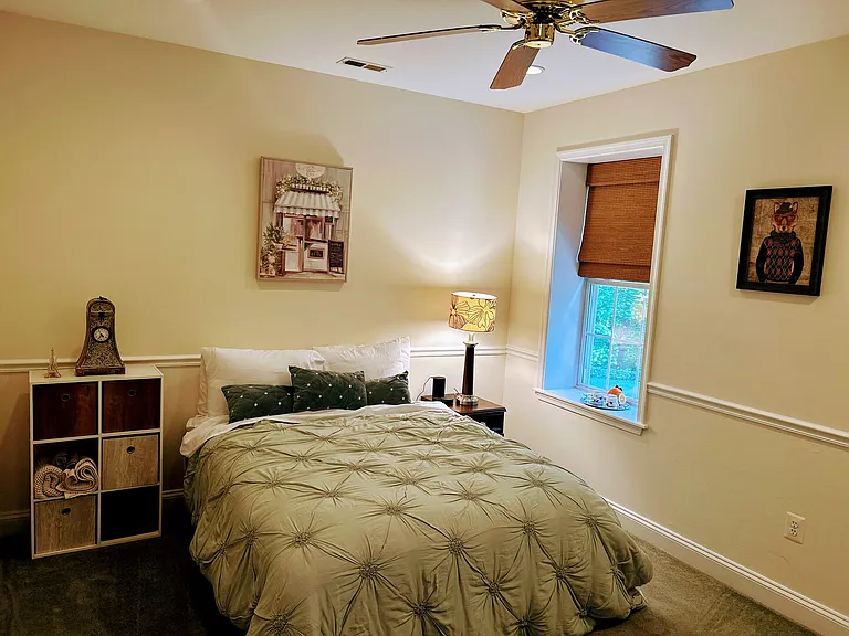 Big Horn Dr — Photo 10