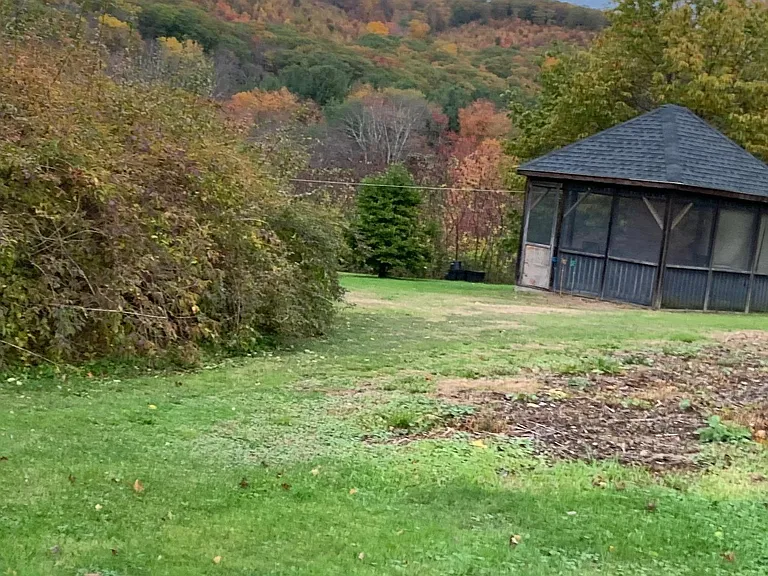 Vining Hill Rd — Photo 2
