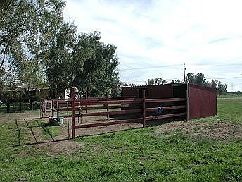 2 Horse Stalls 