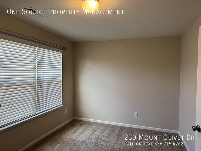 230 Mount Olivet Dr — Photo 19