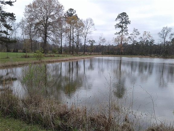 5th image of 13031 N Forest Dr E